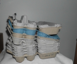 EGG CARTONS