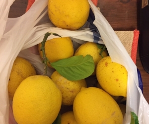 Lemons
