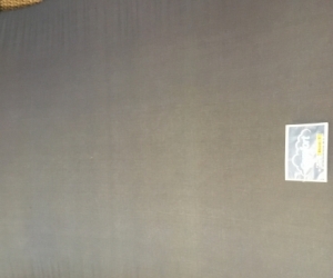 Large Foam Mattress (Thin)