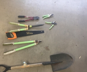 Garden Tool - Assorted