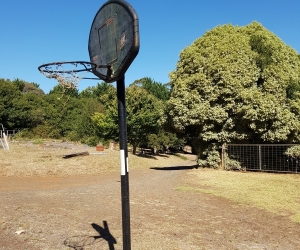 Portable basketball ring