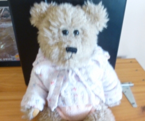 TEDDY