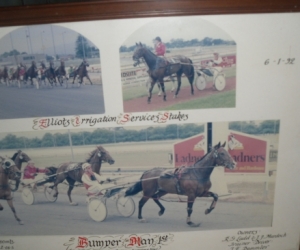 9 Framed Horse Racing Photo's