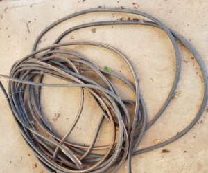 Garden hose