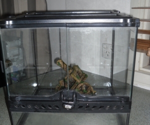 Exo Terra Terrarium