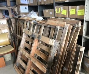 FREE - wood pallets
