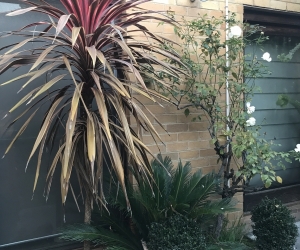 Trees