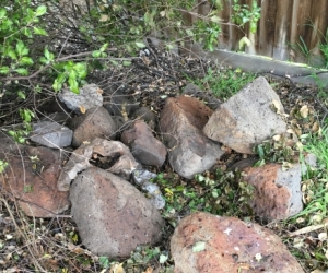 Garden rocks