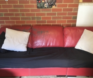 FREE COUCH