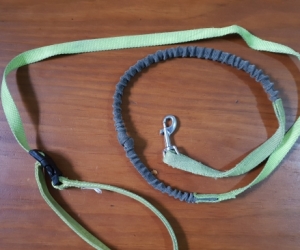 Dog lead, harness & car doggie seat belt