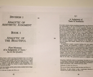 Critique of Judgment - Analytic of Aesthetic Judgement