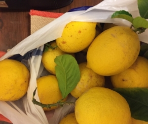 Lemons