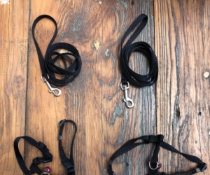 Dwarf rabbit guinea pig harnesses