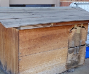 Dog Kennel