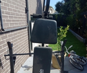 Powertrain Sports Bench (no weights)