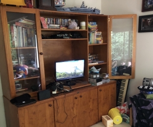Entertainment Unit