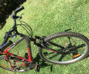 Men's bike