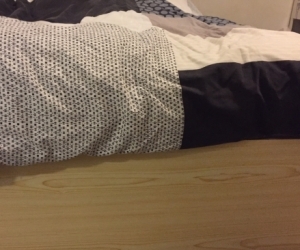 Single trundle bed with mattress.