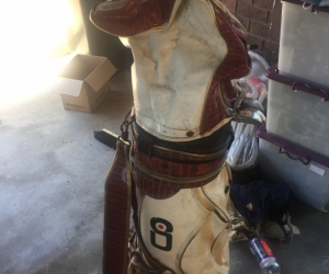 FREE Slazenger irons, 1 driver & bag.
