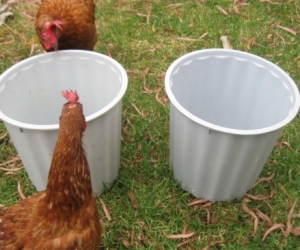 Spark joy with these two gray plastic rubbish bins!
