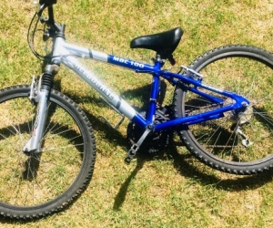 Kid’s blue & silver bike