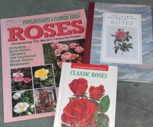 Rose Books - Croydon