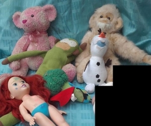 Dog Toys - Croydon