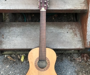 Acoustic Guitar