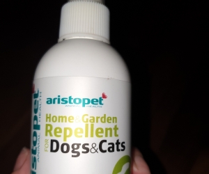 Dog items