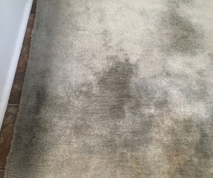 Silver Floor Rug