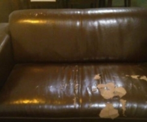 Leather couches