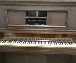 Free Pianola : Bannora Point, Tweed Heads