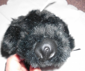 LITTLE BLACK DOG