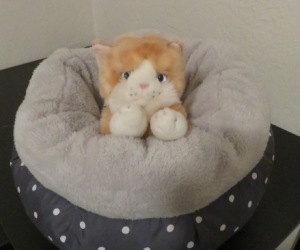 Cat bed (unused)
