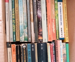 Classic Novels