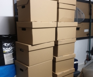 Empty archive boxes for moving/storage