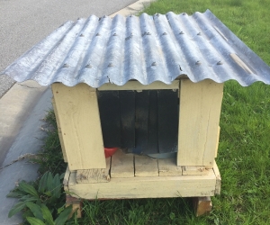 Dog kennel