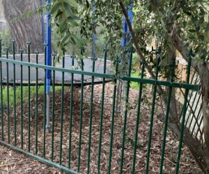 Pool Fencing