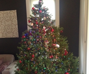 Christmas tree - 225 cm (7.5 feet) artificial Frazier Fir