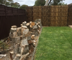 Firewood Free Mornington area