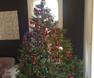 Christmas tree - 225 cm (7.5 feet) artificial Frazier Fir