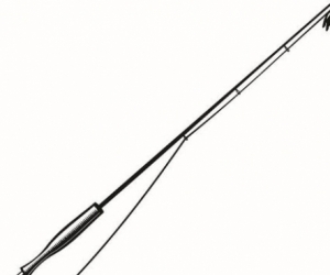 FISHING ROD AND TACKLES ( OLD OR UNWANTED )