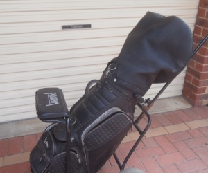 Golf Clubs and Buggy