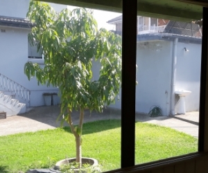 Aluminium Window or Glass