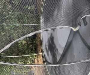 Spring free trampoline (small)