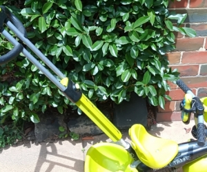 Kids push trike
