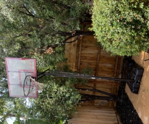Basketball hoop