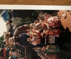 Professional photos of scenes from Vietnam