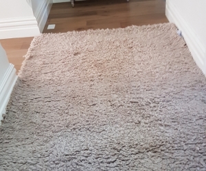 Large soft pile beige rug