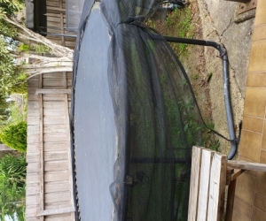 14ft trampoline